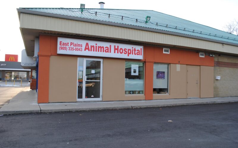 East Plains Animal Hospital