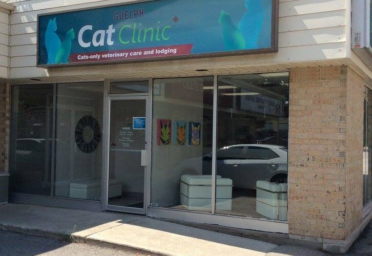 Guelph Cat Clinic