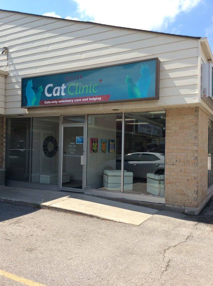 Guelph Cat Clinic