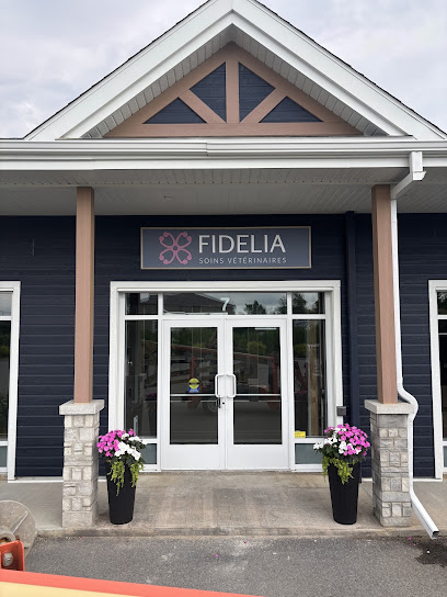 Soins Vétérinaires FIDELIA Veterinary Care