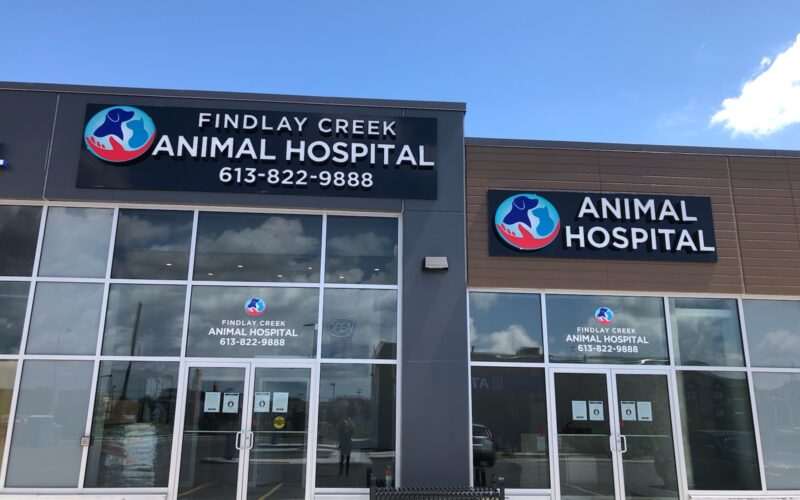 Findlay Creek Animal Hospital