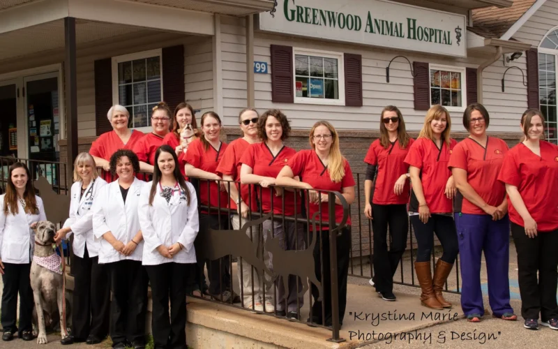 greenwood animal hospital