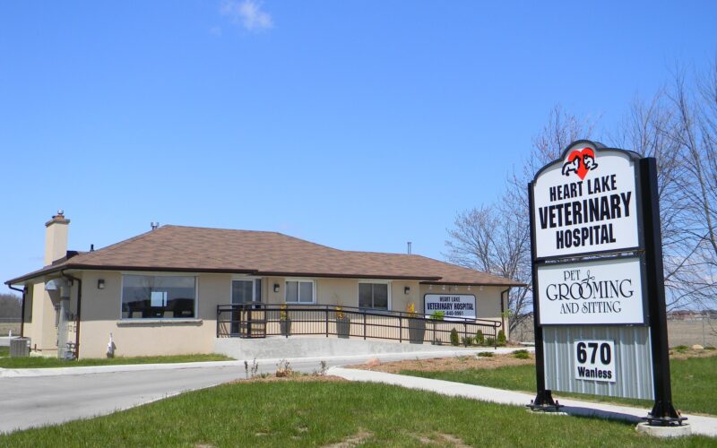 Heart Lake Veterinary Hospital
