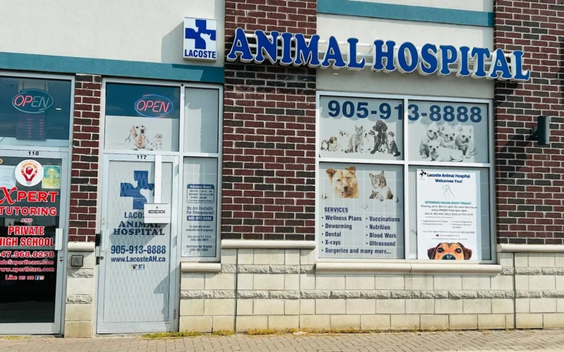 Lacoste Animal Hospital Brampton