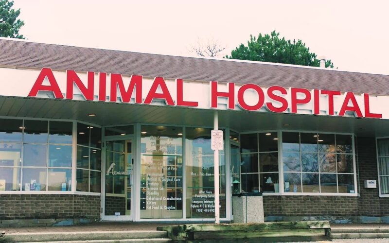 Derrydale Animal Hospital