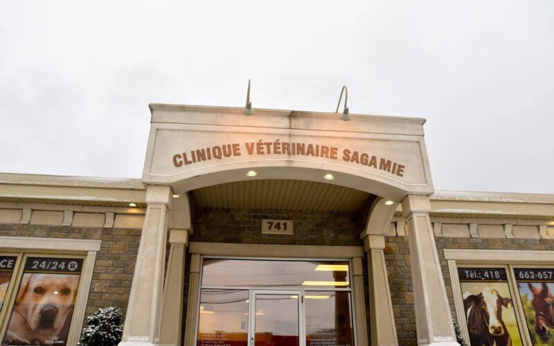 Clinique Veterinaire Sagamie