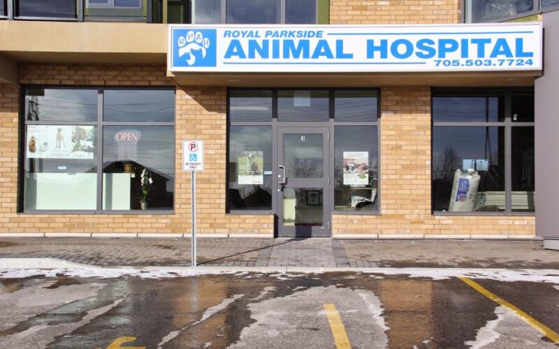 Royal Parkside Animal Hospital