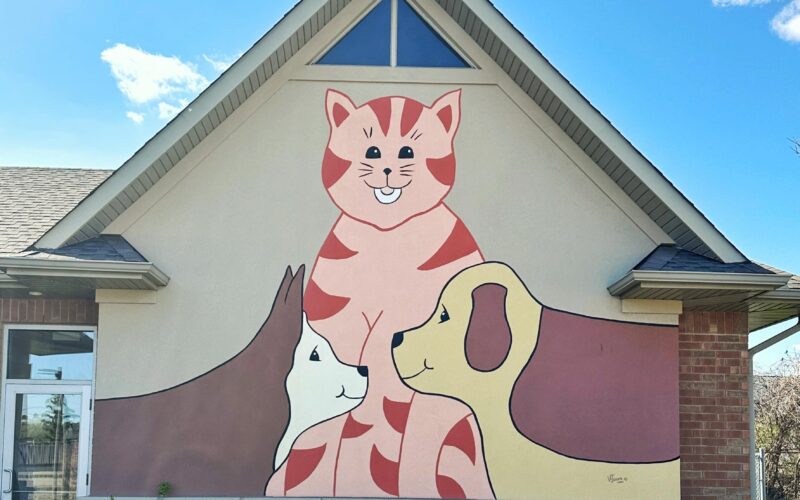 Burlington Humane Society