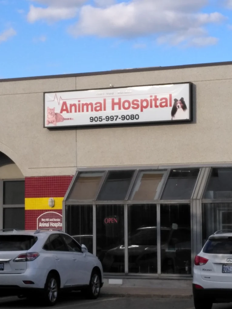 Hwy 403-Dundas Animal Hospital