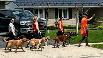Stratford Dog Walkers