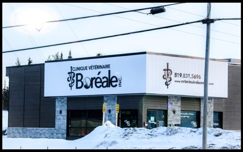 Clinique vétérinaire Boréale inc