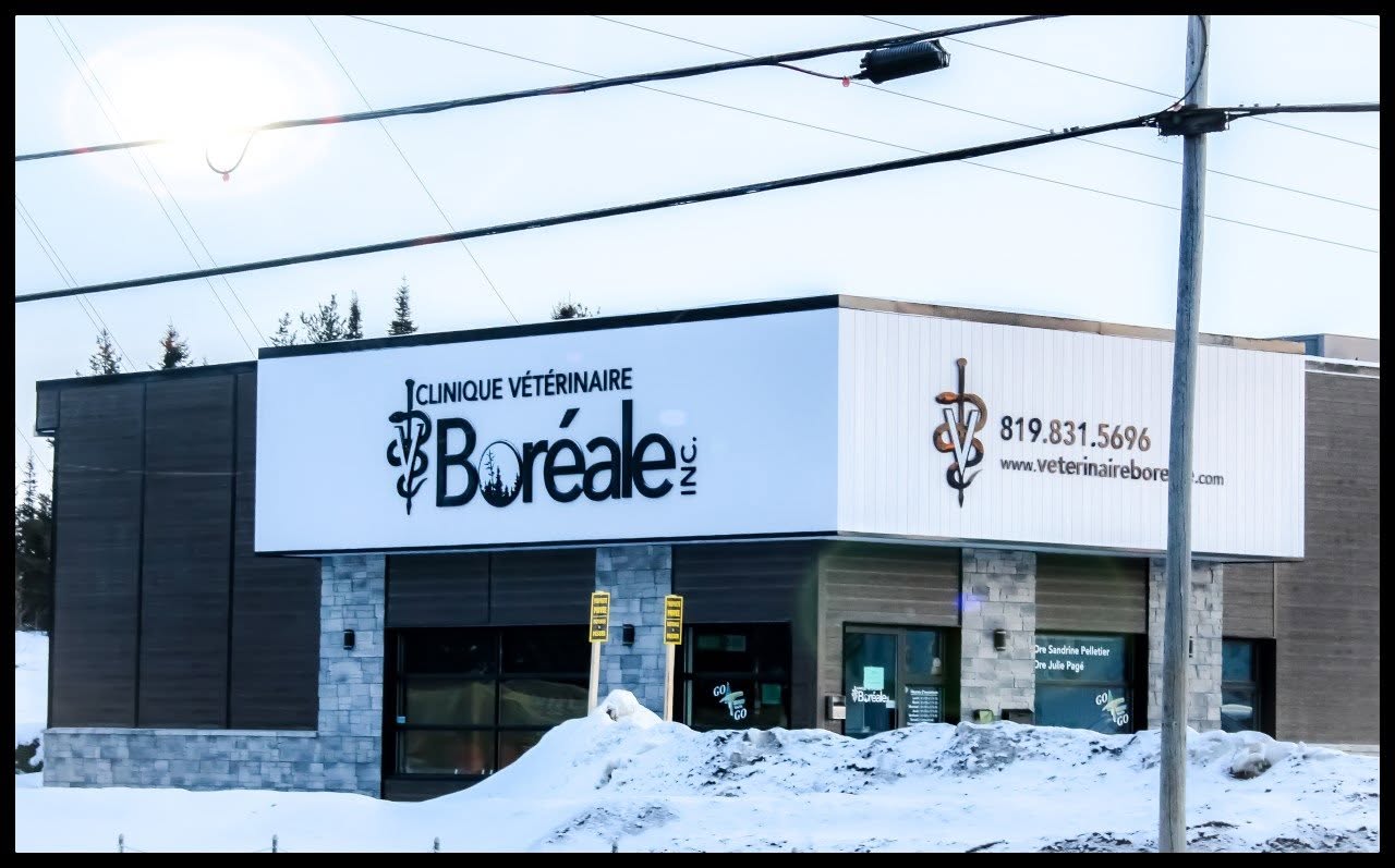 Clinique vétérinaire Boréale inc