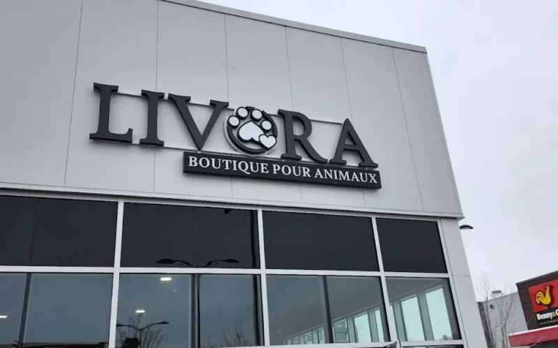 Livora Blainville