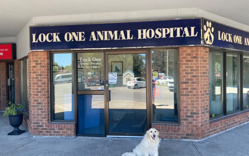 Lock One Animal Hospital