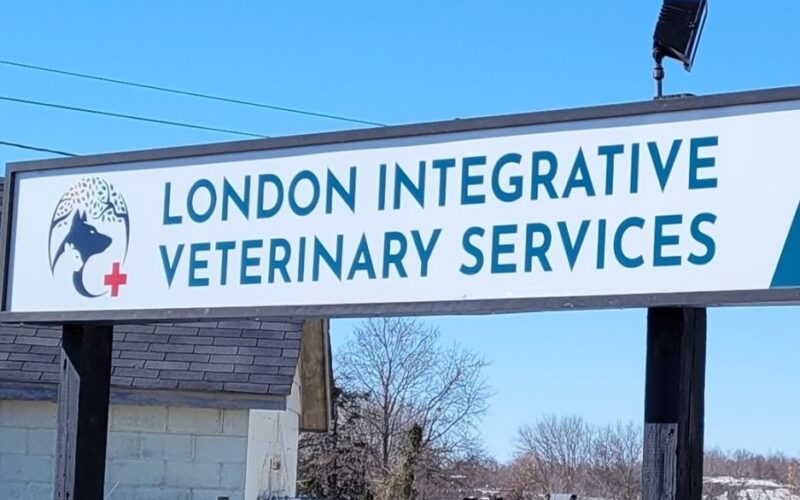 London Integrative Veterinary Services