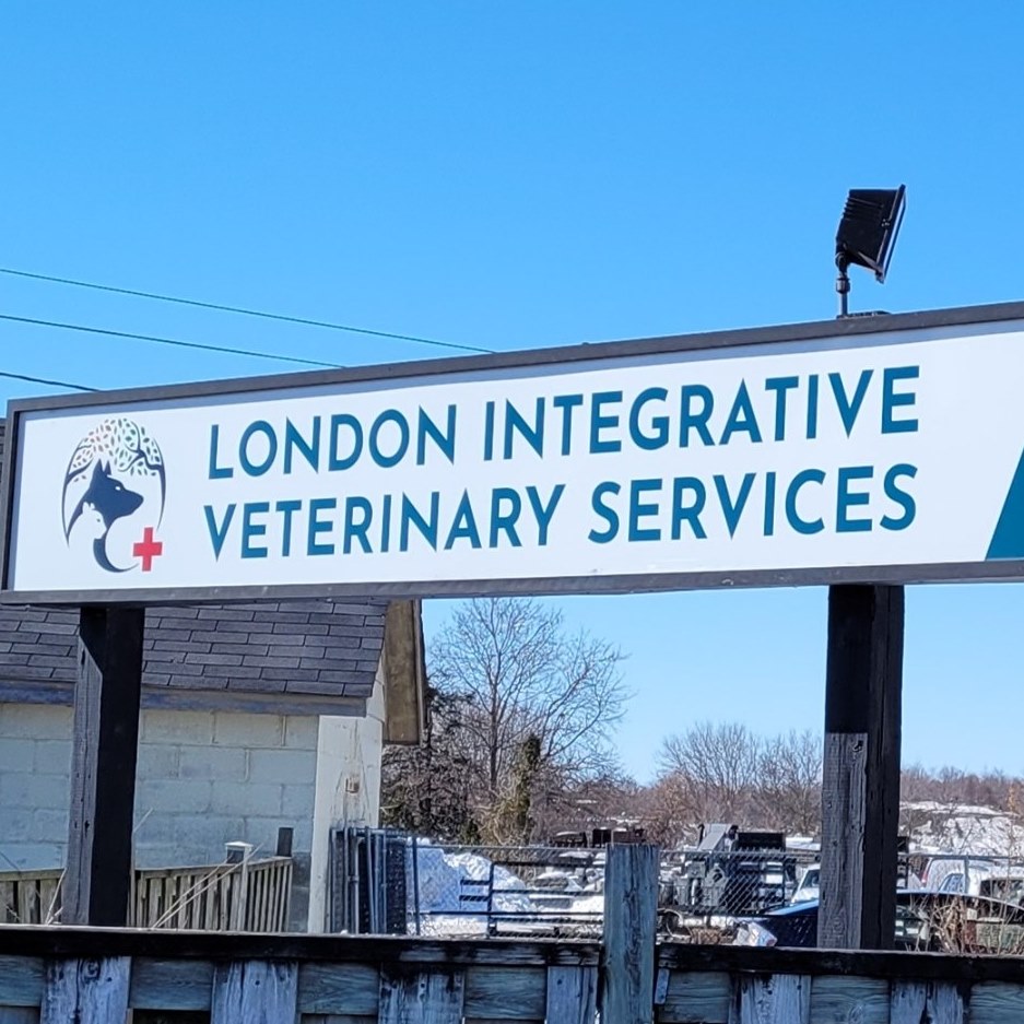 London Integrative Veterinary Services