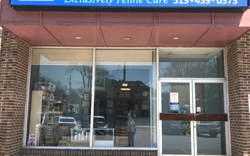 London Cat Clinic