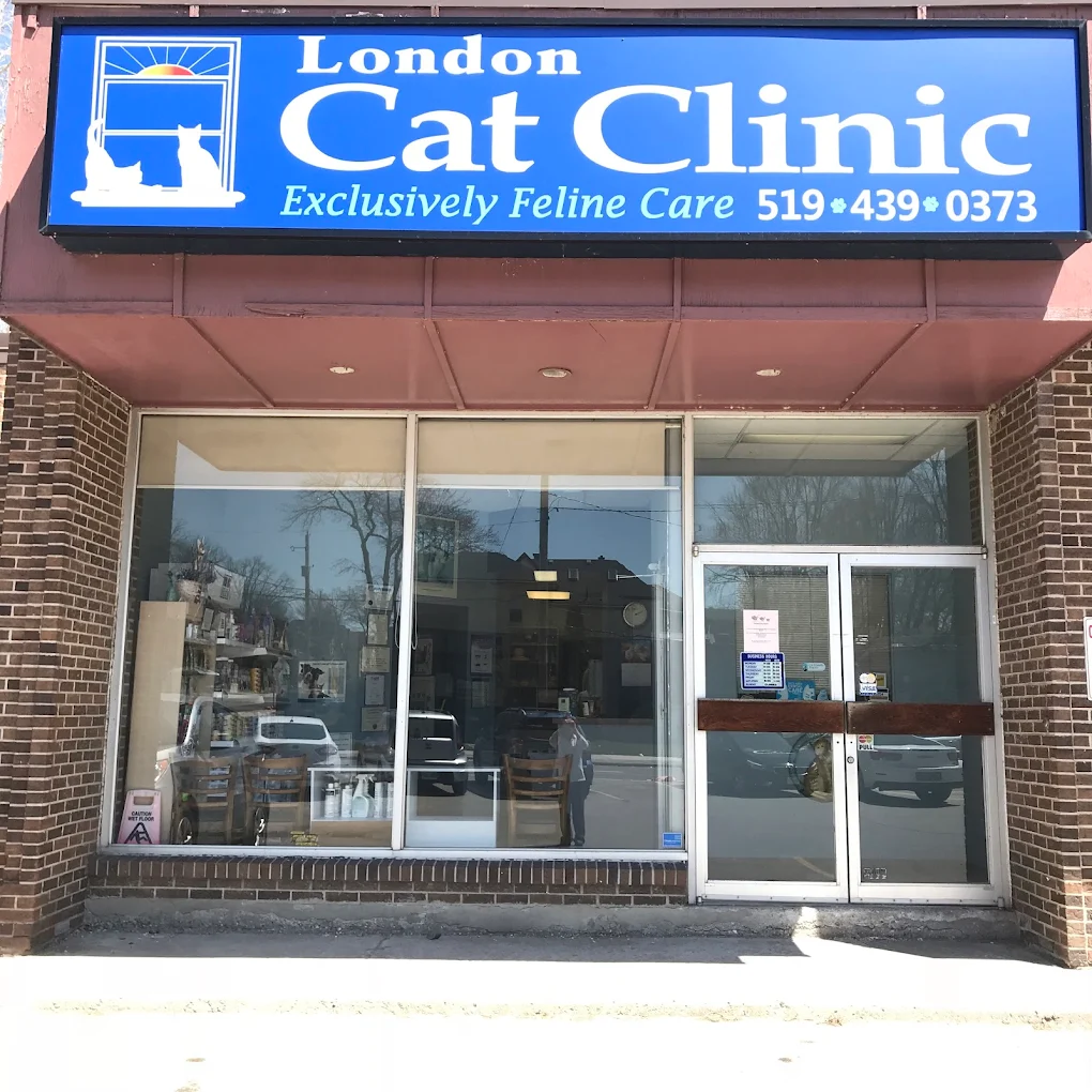 London Cat Clinic