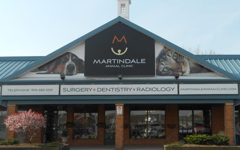 Martindale Animal Clinic