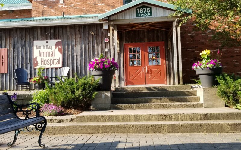 North Bay Animal Hospital