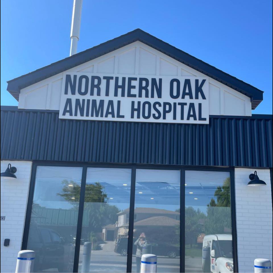 Northern Oak Animal Hospital