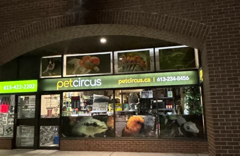 Pet Circus