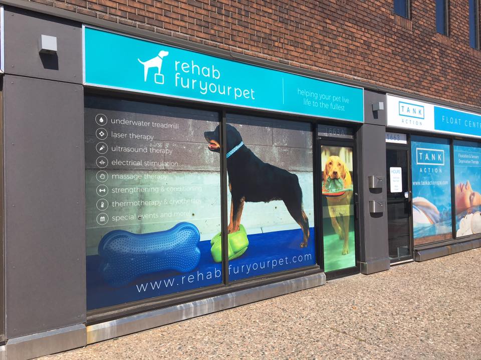 Rehab Fur Your Pet
