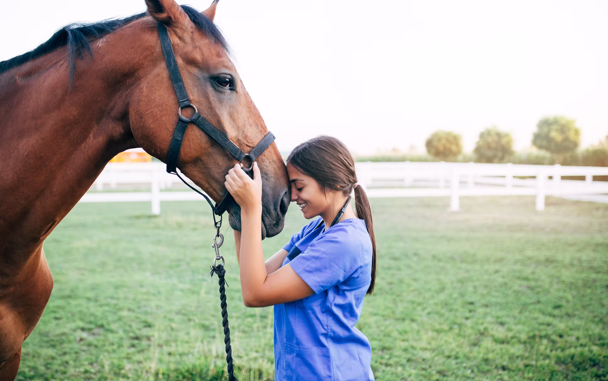 Roblin Veterinary Clinic Roblin Veterinary Services