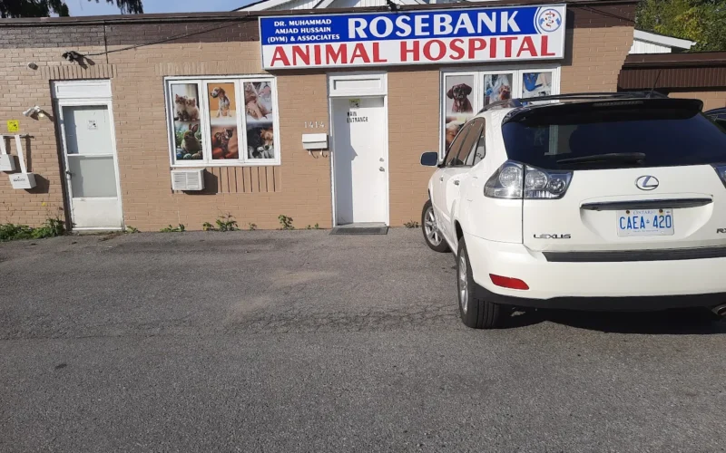 Rosebank Animal Hospital