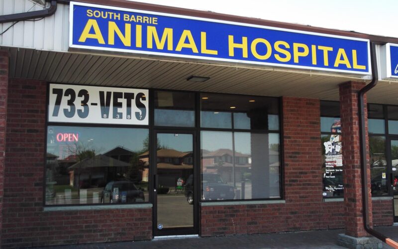 South Barrie Animal Hospital