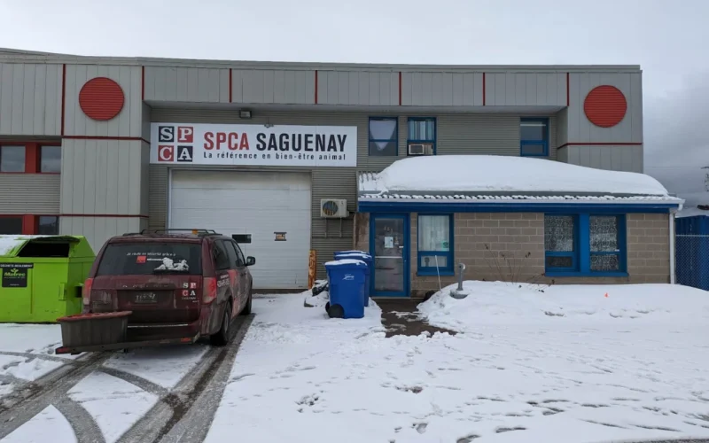 SPCA Saguenay Chicoutimi