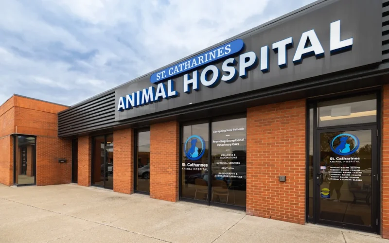 St. Catharines Animal Hospital