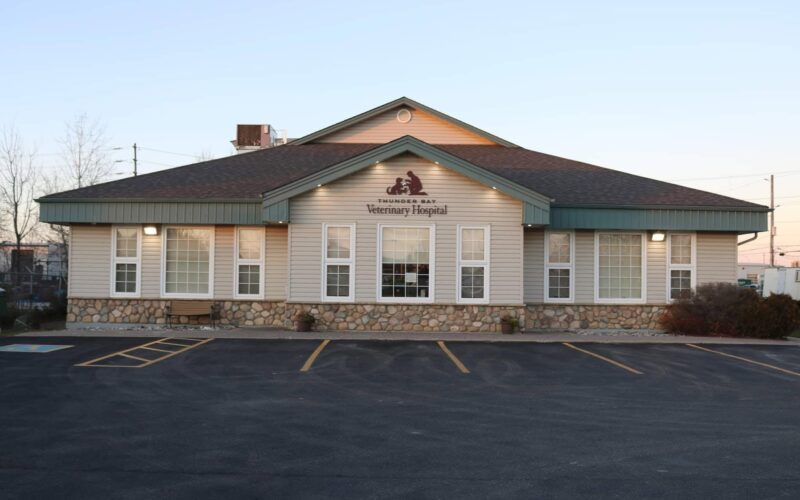 Thunder Bay Veterinary Hospital
