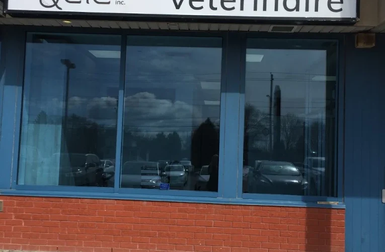 Clinique vétérinaire Truffe et Compagnie Inc