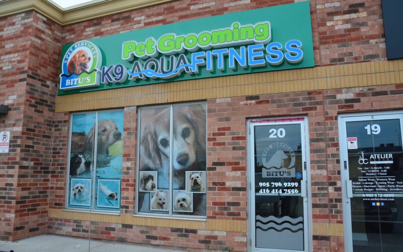 Bitu's Pet Services - Pet Grooming & K9 Aquafitness/Hydrotherapy