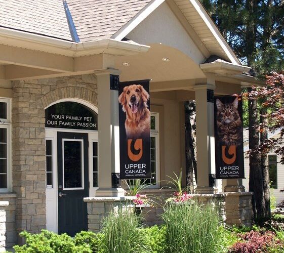 Upper Canada Animal Hospital