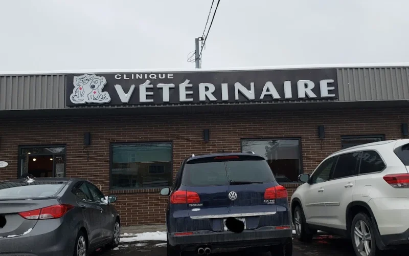 Veterinary Clinic Beloeil-St-Basile Inc.