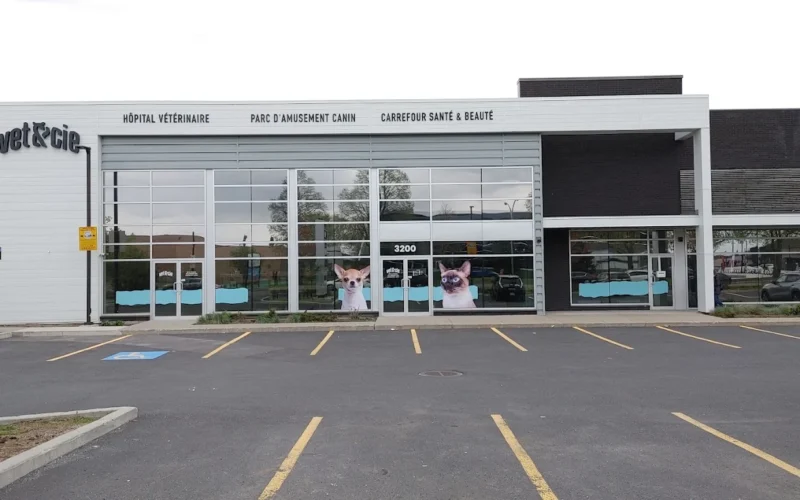 Vet & Cie Brossard | Vétérinaire indépendant & québécois, Toilettage, Garderie pour chien, Urgence chien et chat | Montérégie