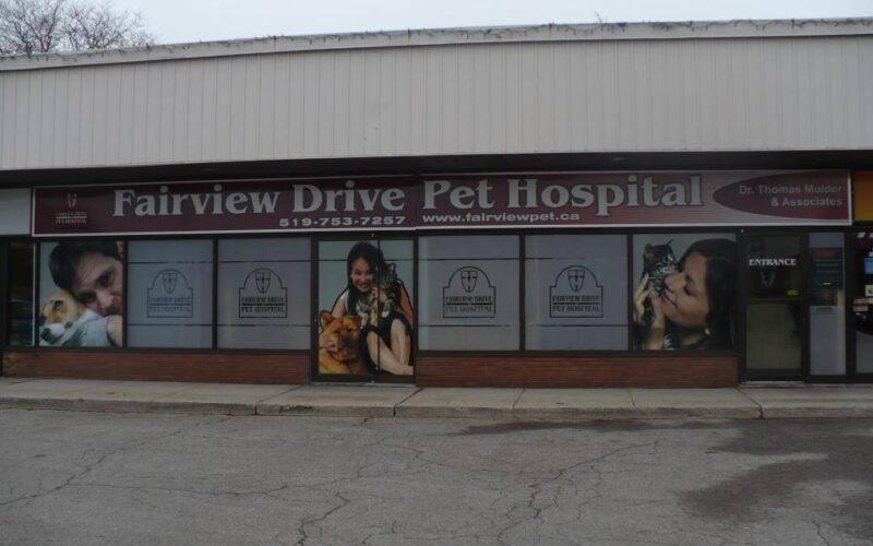 Fairview Drive Pet Hospital