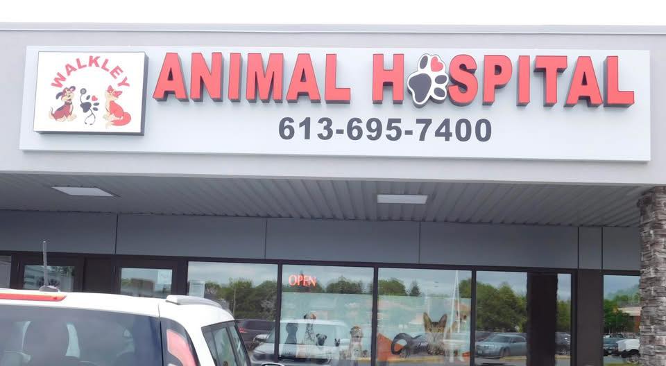 Walkley Animal Hospital