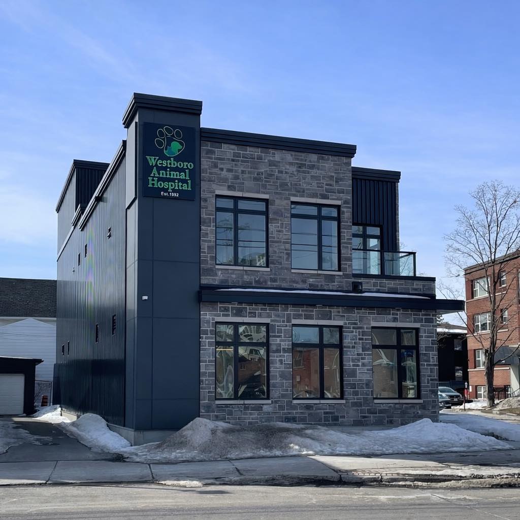 Westboro Animal Hospital