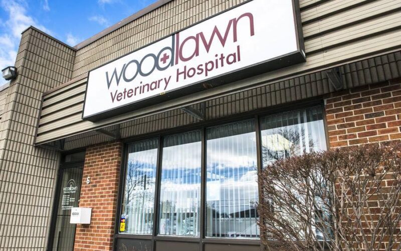 Woodlawn Veterinary Hospital