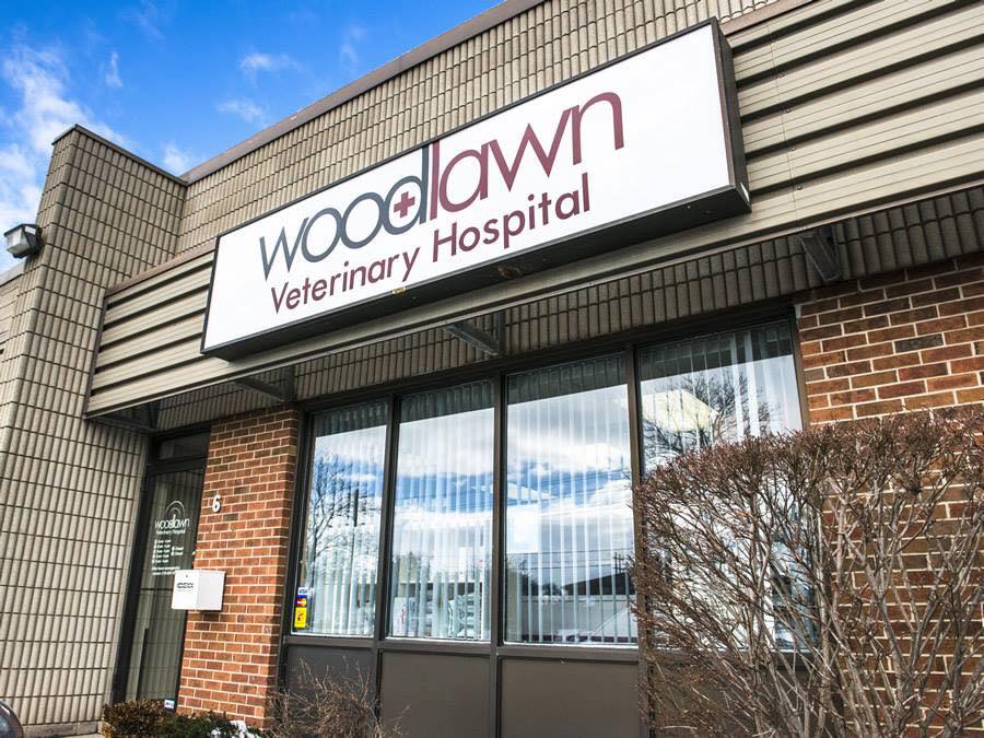 Woodlawn Veterinary Hospital